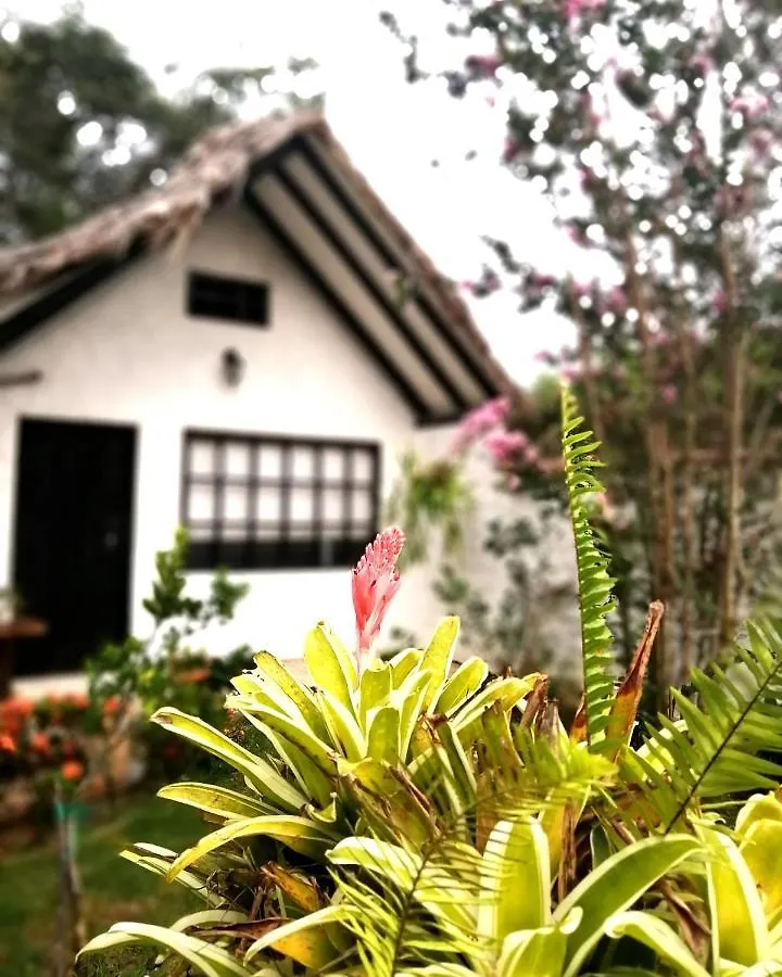 Villa Cata Hotel El Zaino 3*,  Colombia