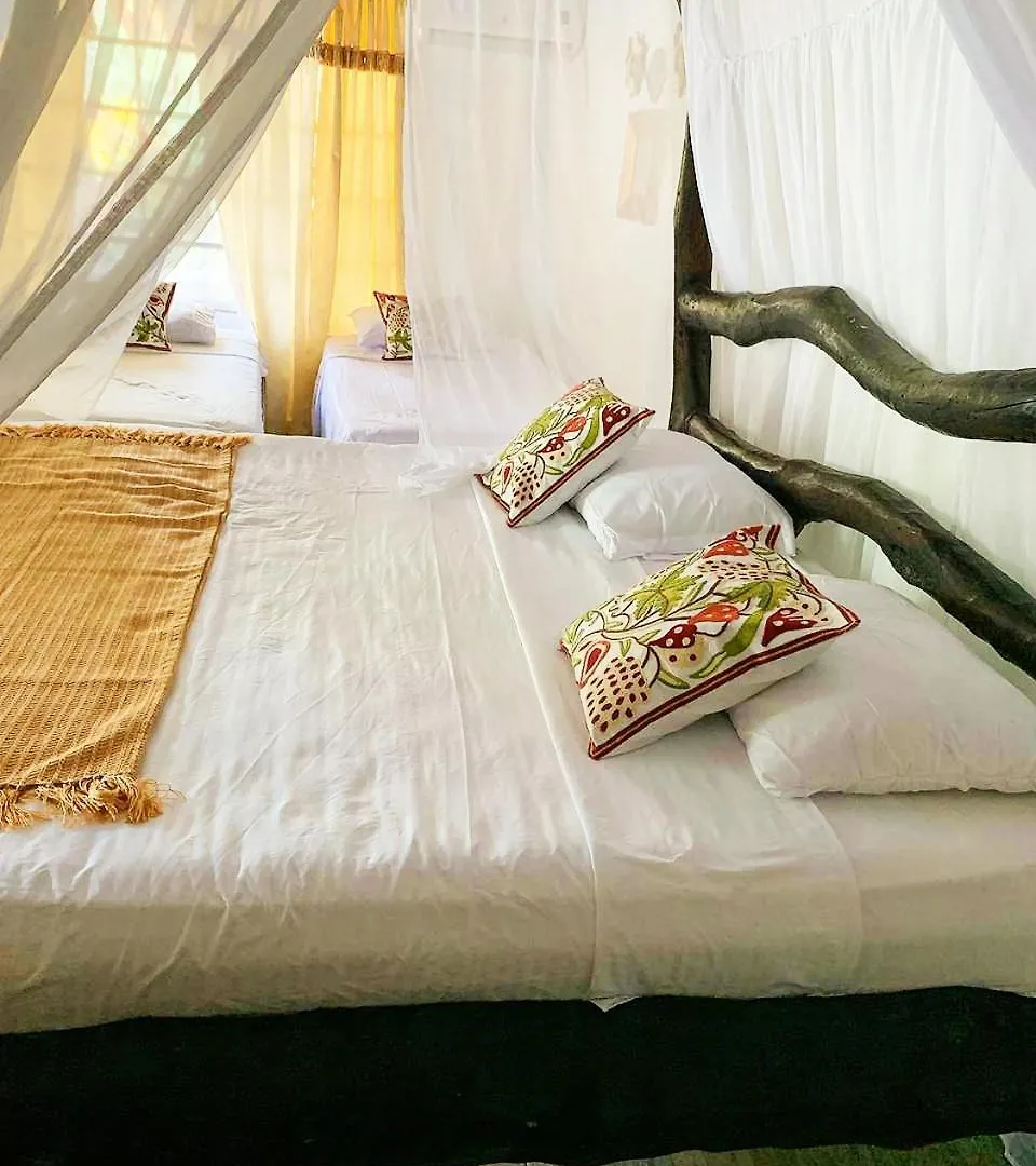 Villa Cata Hotel El Zaino