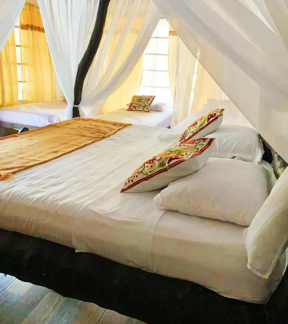 Villa Cata Hotel الزينو